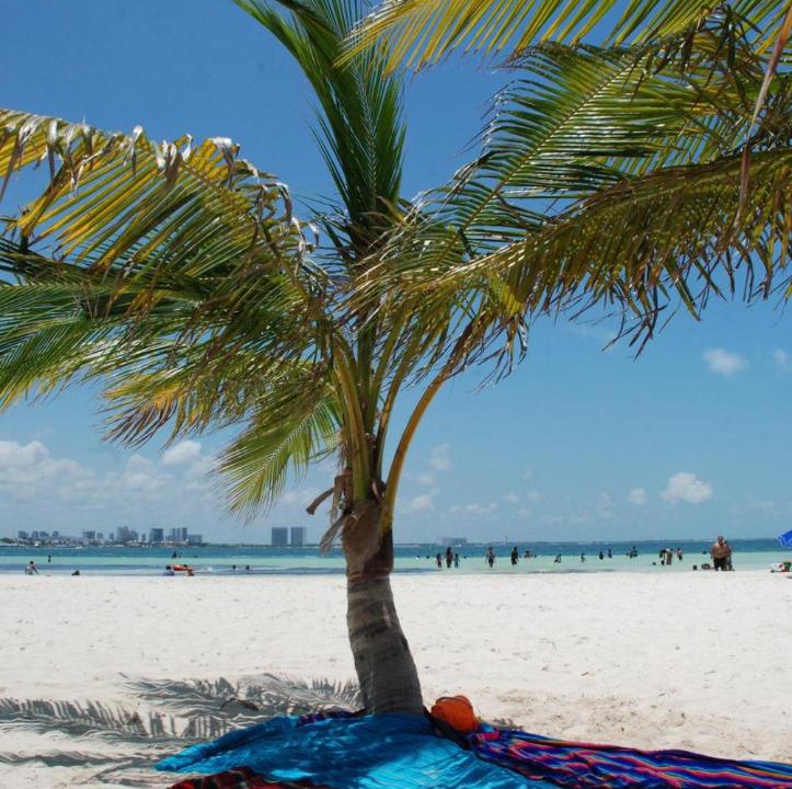 Photo of Outdoor in Downtown Cancun