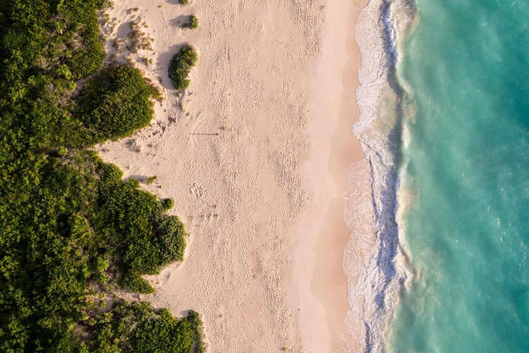 Photo of Others in Costa Mujeres