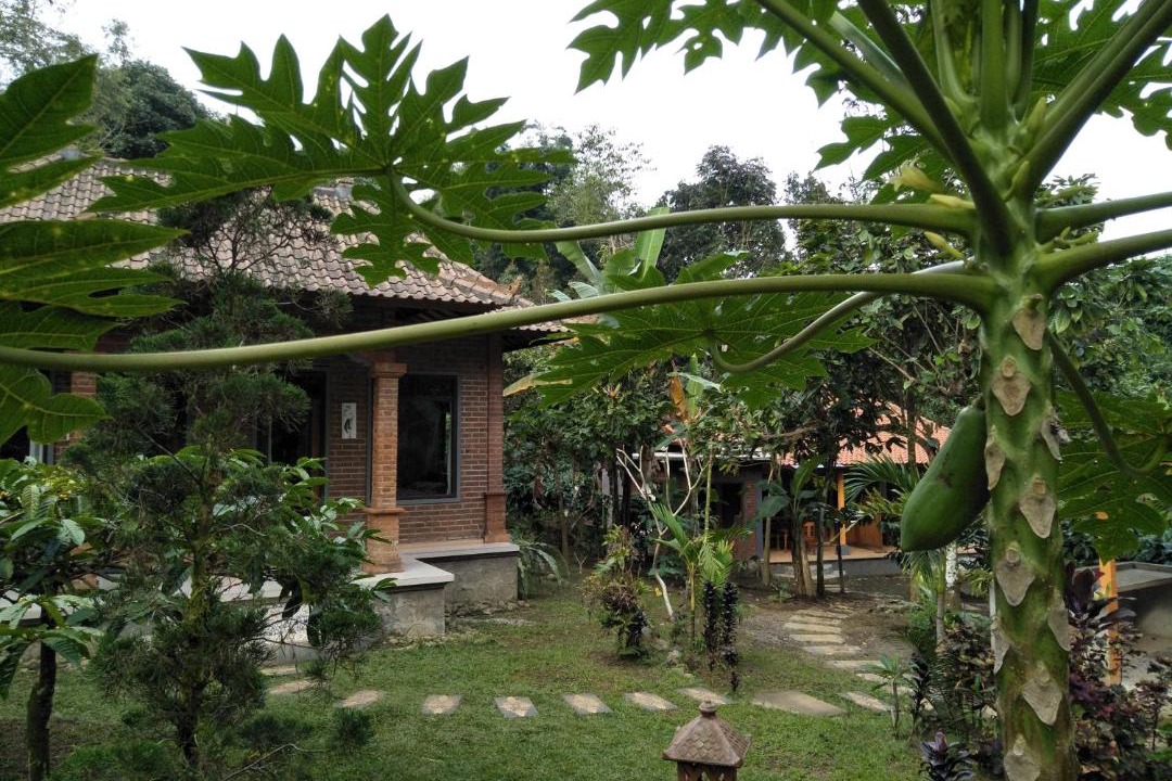 Photo of Others in Wongaya Gede