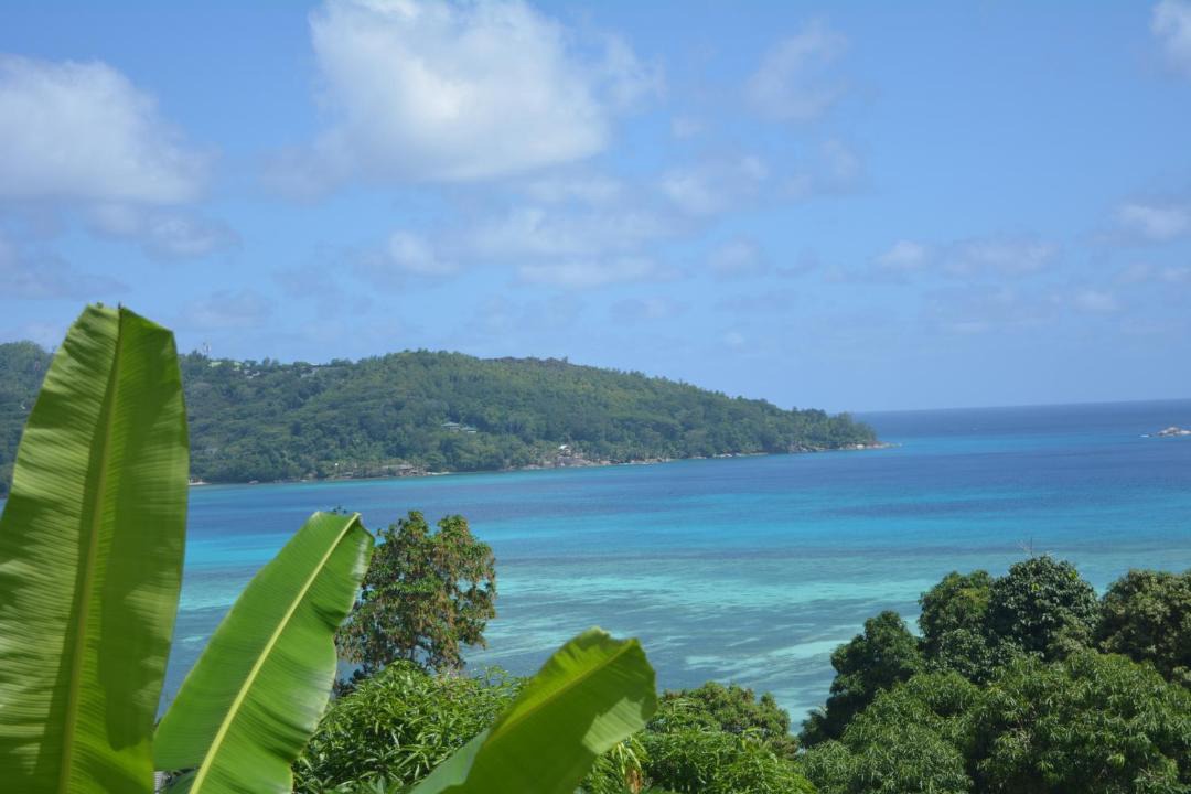 Photo of Outdoor in Anse La Mouche