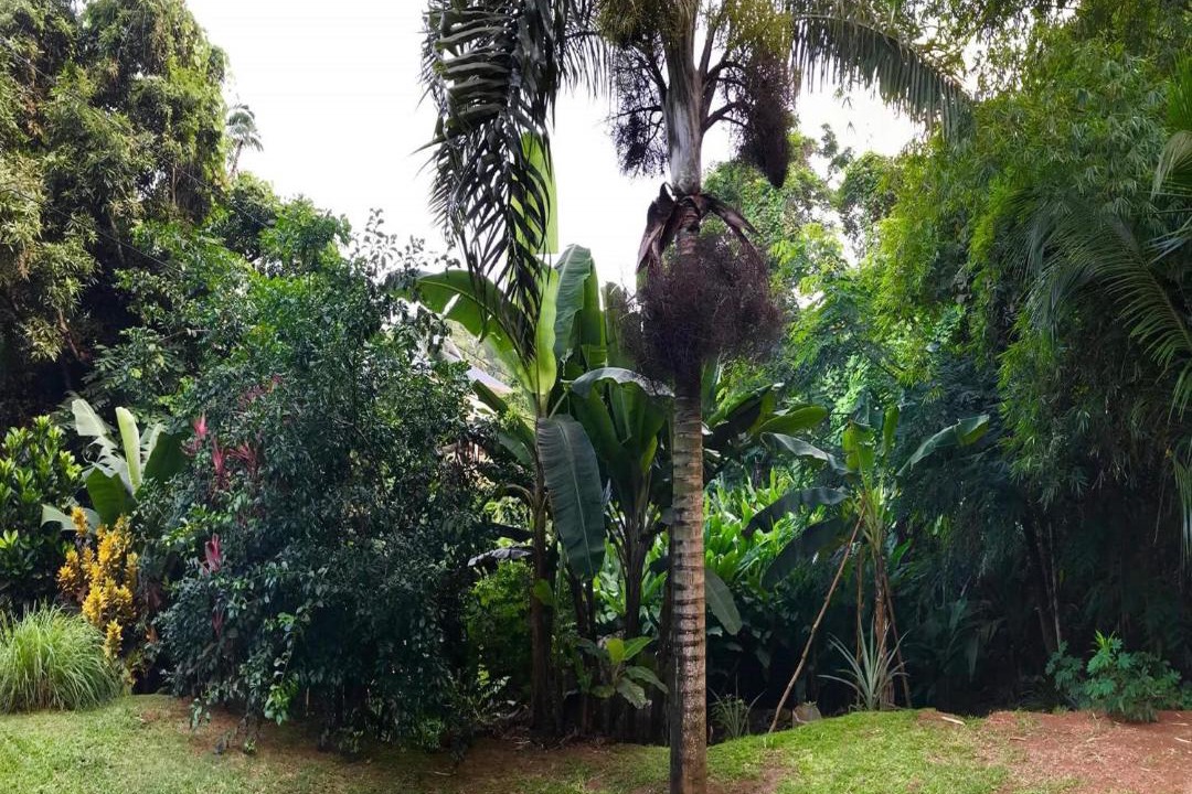 Photo of Others in Mahe Island