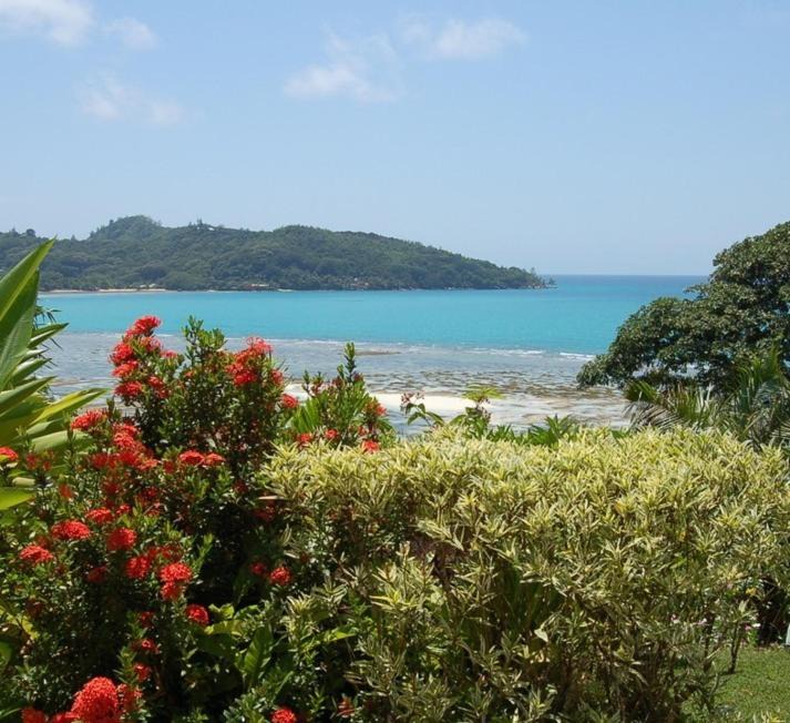 Photo of Others in Anse La Mouche
