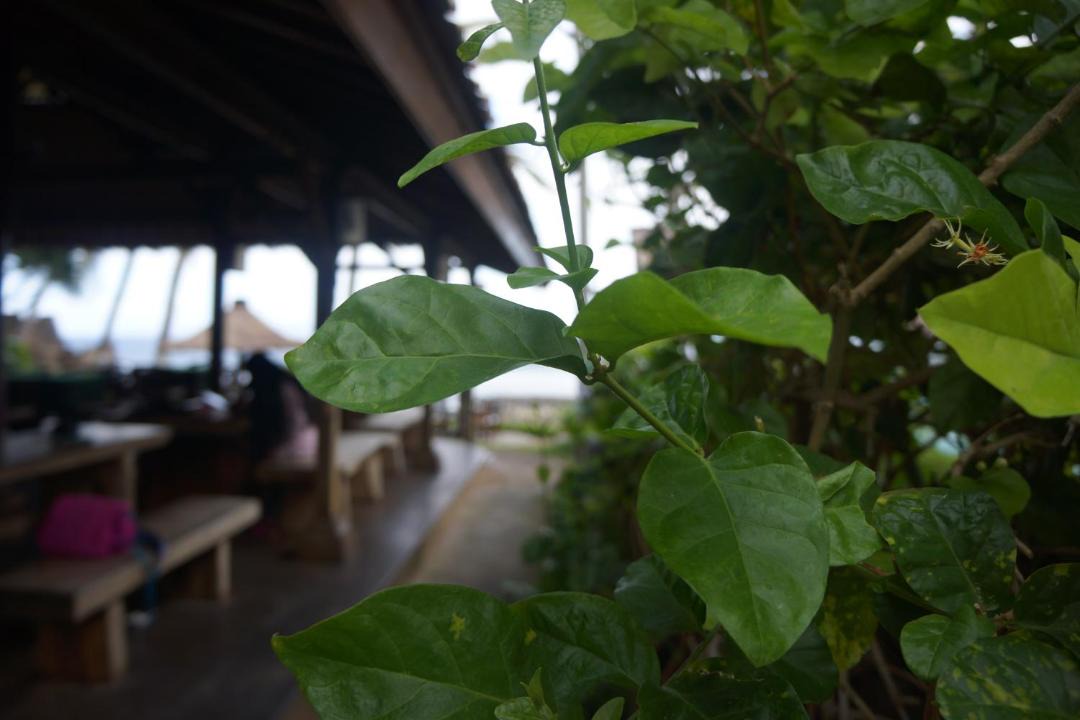 Photo of Patio Balcony in Candi Dasa