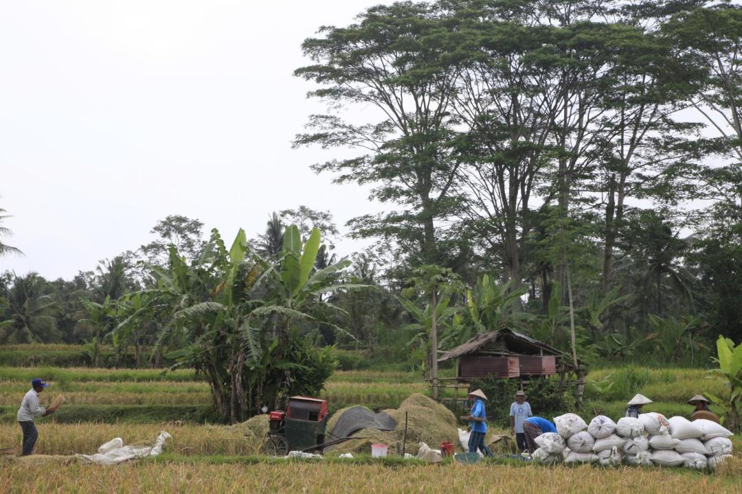 Photo of Others in Melayang