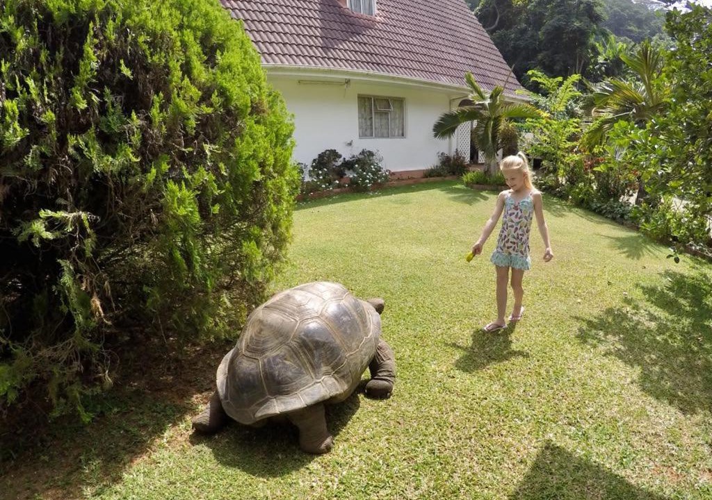 Photo of Others in Anse Royale