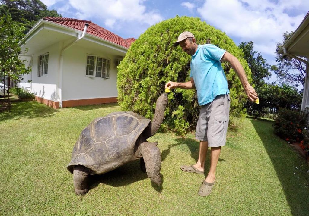 Photo of Others in Anse Royale