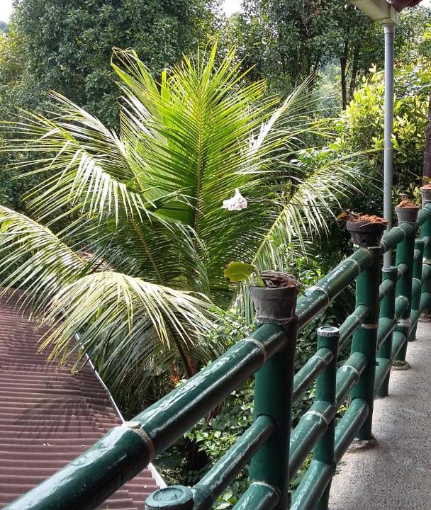Photo of Others in Munduk