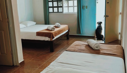 Comfort Room, Patio