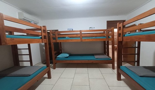 Bed in 6-bed Mixed Dormitory