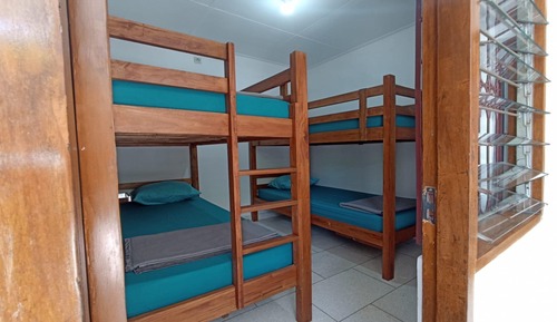 Bed in 4-bed Mixed Dormitory