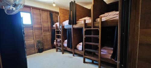 Bunk Bed in Female Dormitory Room  