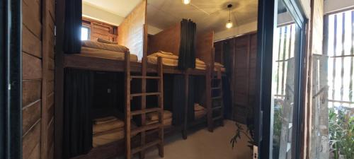 Bunk Bed in Mixed Dormitory Room
