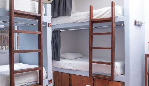 Bed in 6-Bed Dormitory Room