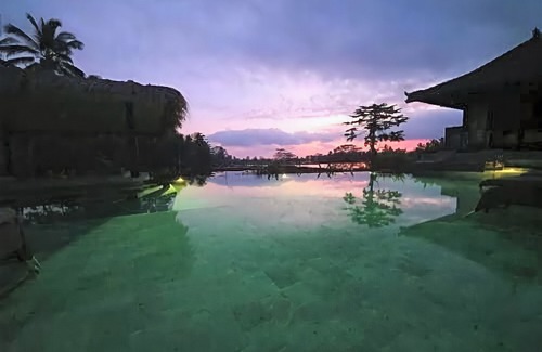 Kenderan Hotel | Kayangan Villa Ubud