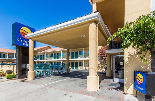 Beach Hill - Beach Flats Hotel | Comfort Inn Boardwalk