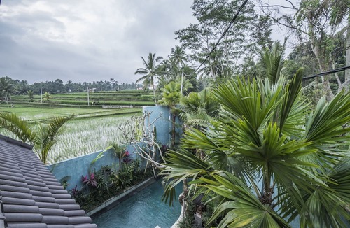 Tegallalang Hotel | Villa Tanah Carik
